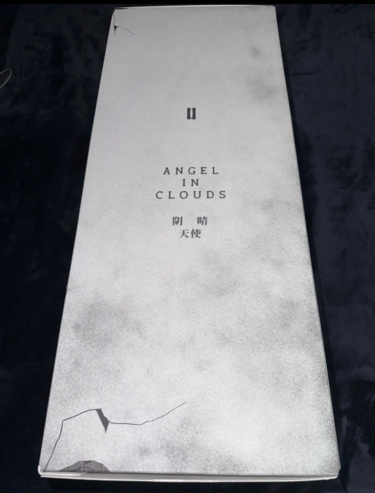 Zimomo: Angel In The Clouds